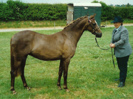 joyce newbery with milly 