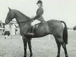 joyce  newbery on hunter